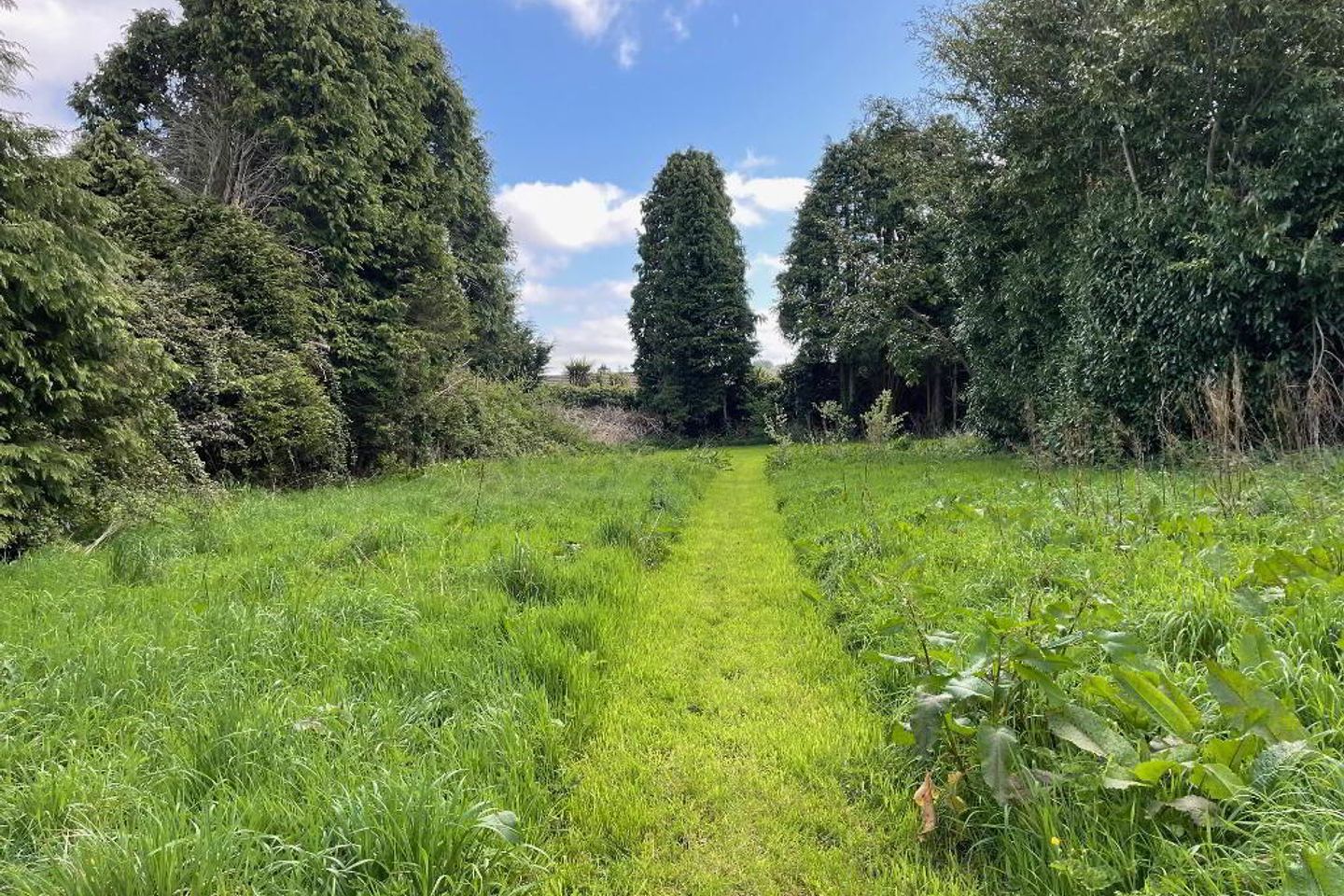 Site At, Lower Grange, Waterford City, Co. Waterford is for sale on Daft.ie