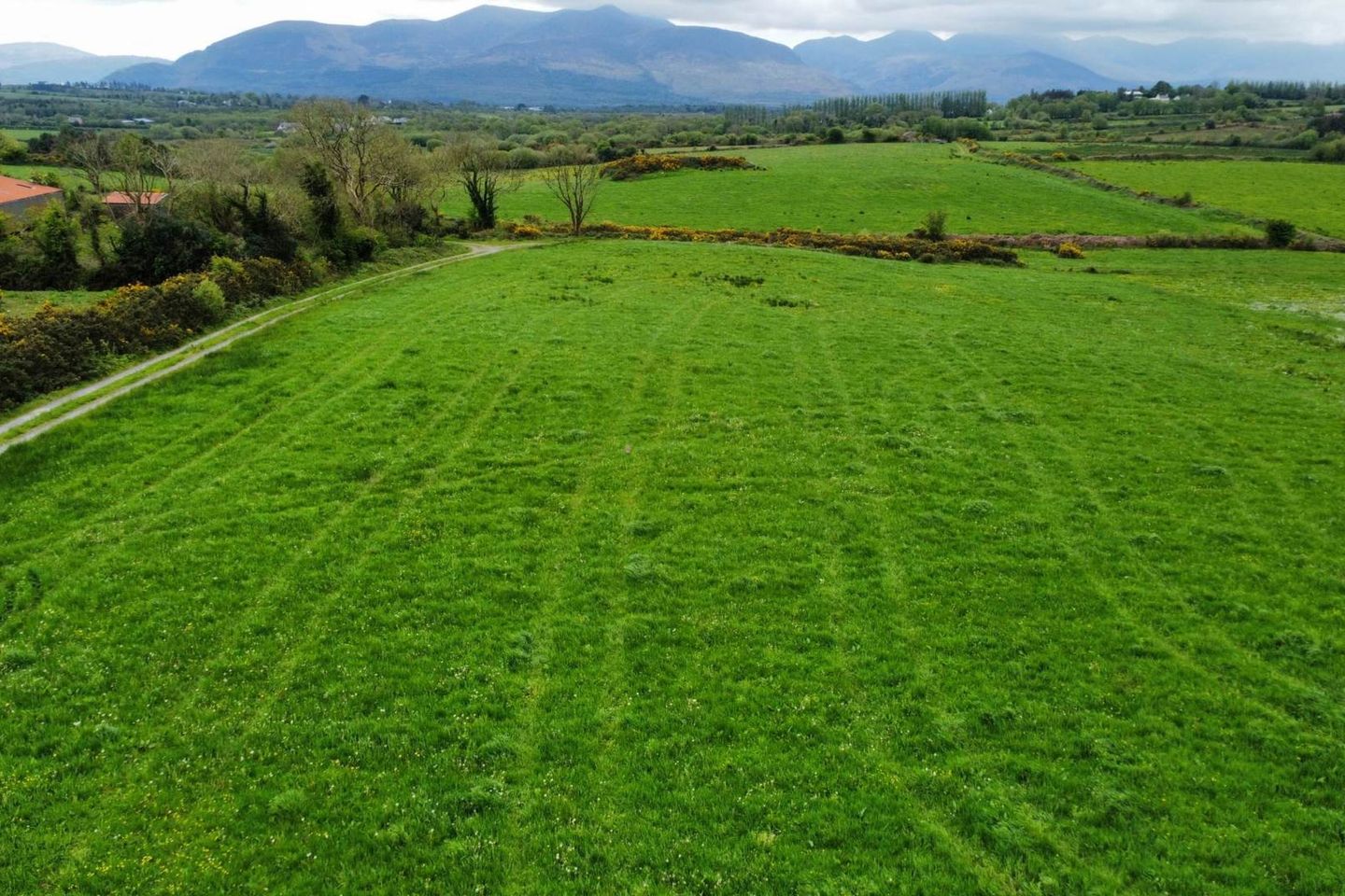 Commercial property for sale in Plot A, Sheans West, Ballyhar