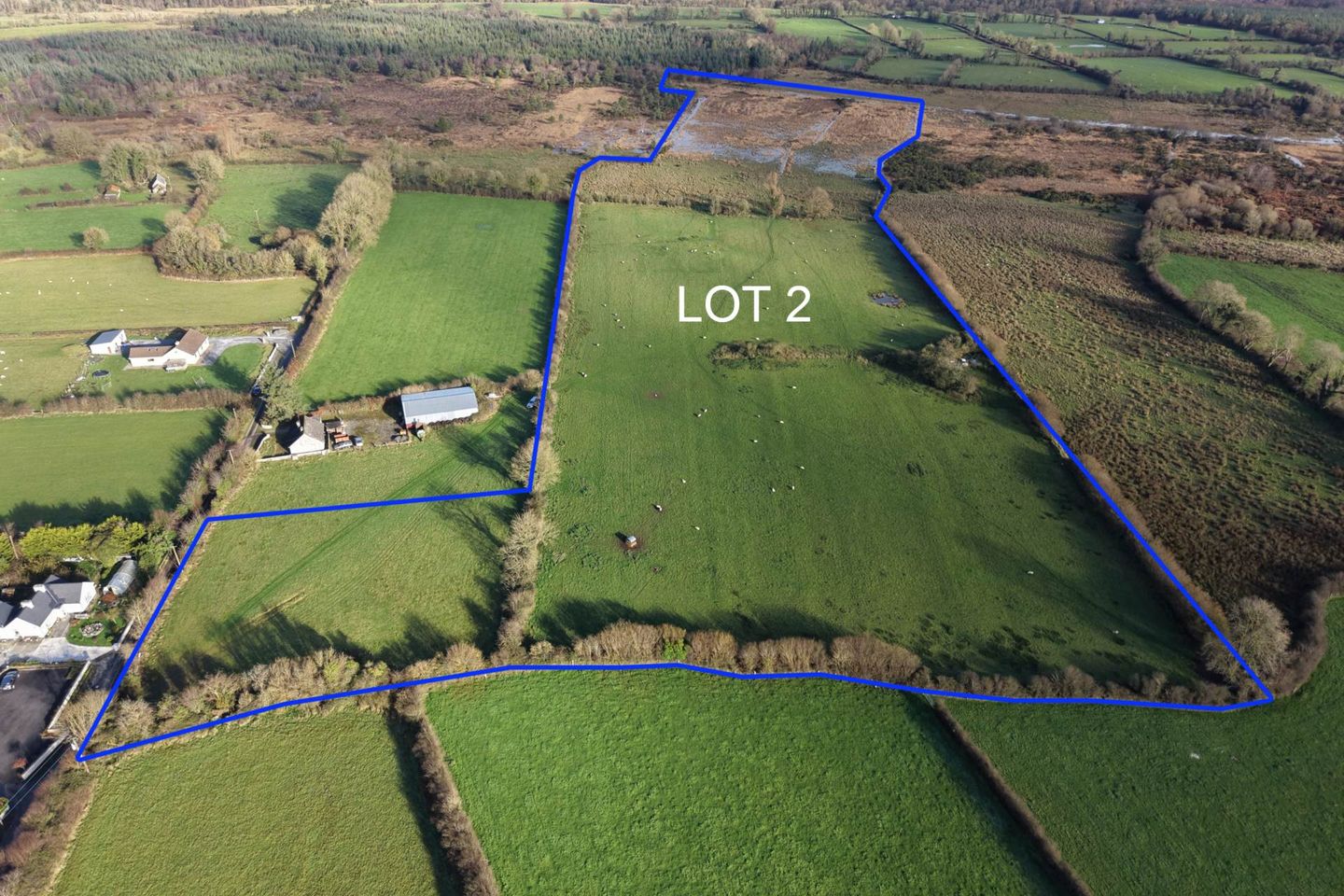 Lot 2 - C. 25.30 Acres Of Lands, Cloonloughnan, Mount Talbot, Co. Roscommon