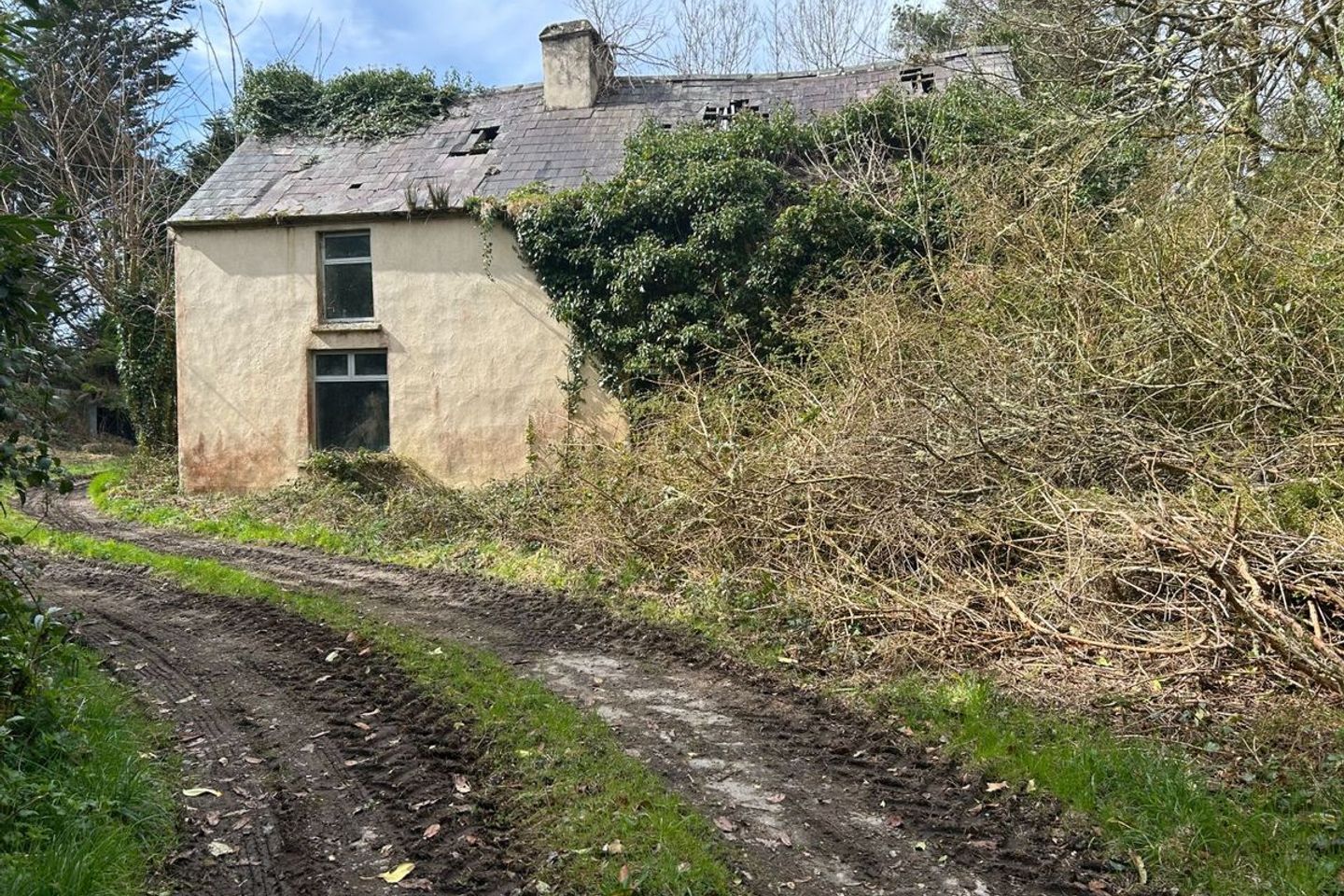 c. 47 Acres  Derelict House Beg, Rathmore, Co. Kerry, P51ED86