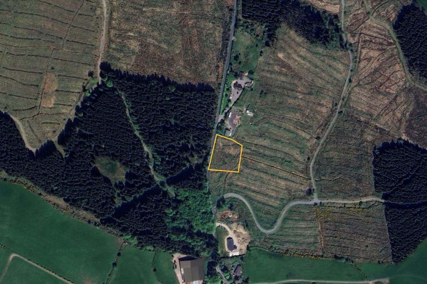 Fauna, Donard, Co. Wicklow