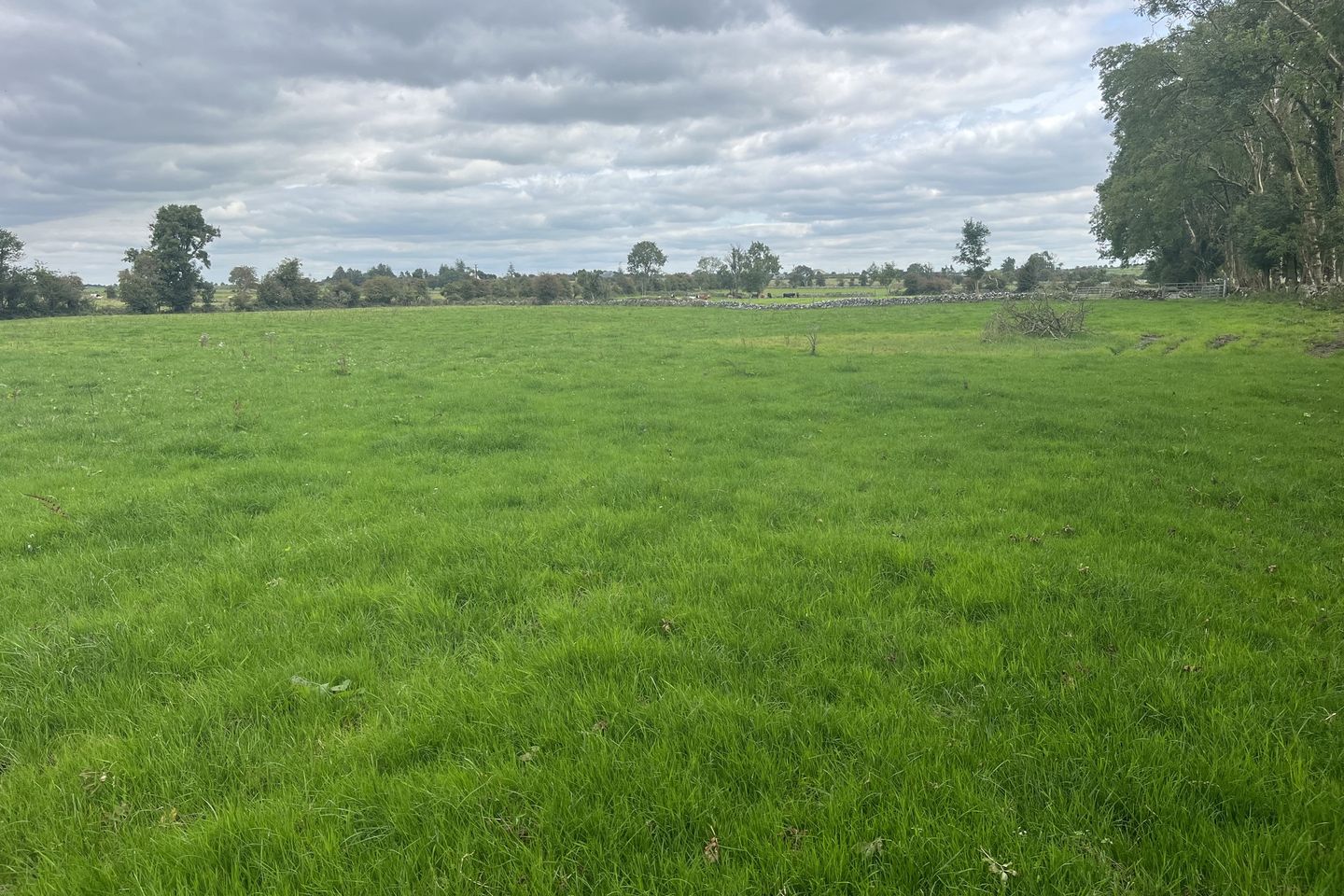 Belleville, Monivea, Co. Galway