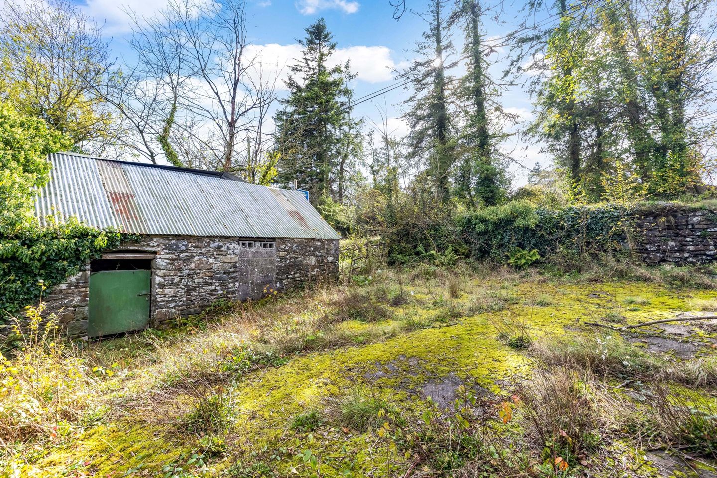 Aghacashel, Ballyjamesduff, Co. Cavan, Ballyjamesduff, Co. Cavan