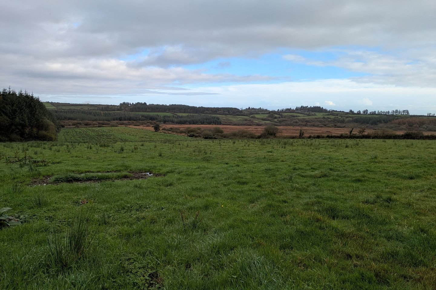 c.38 Acres at Derrybrick, Knockalough, Co. Clare
