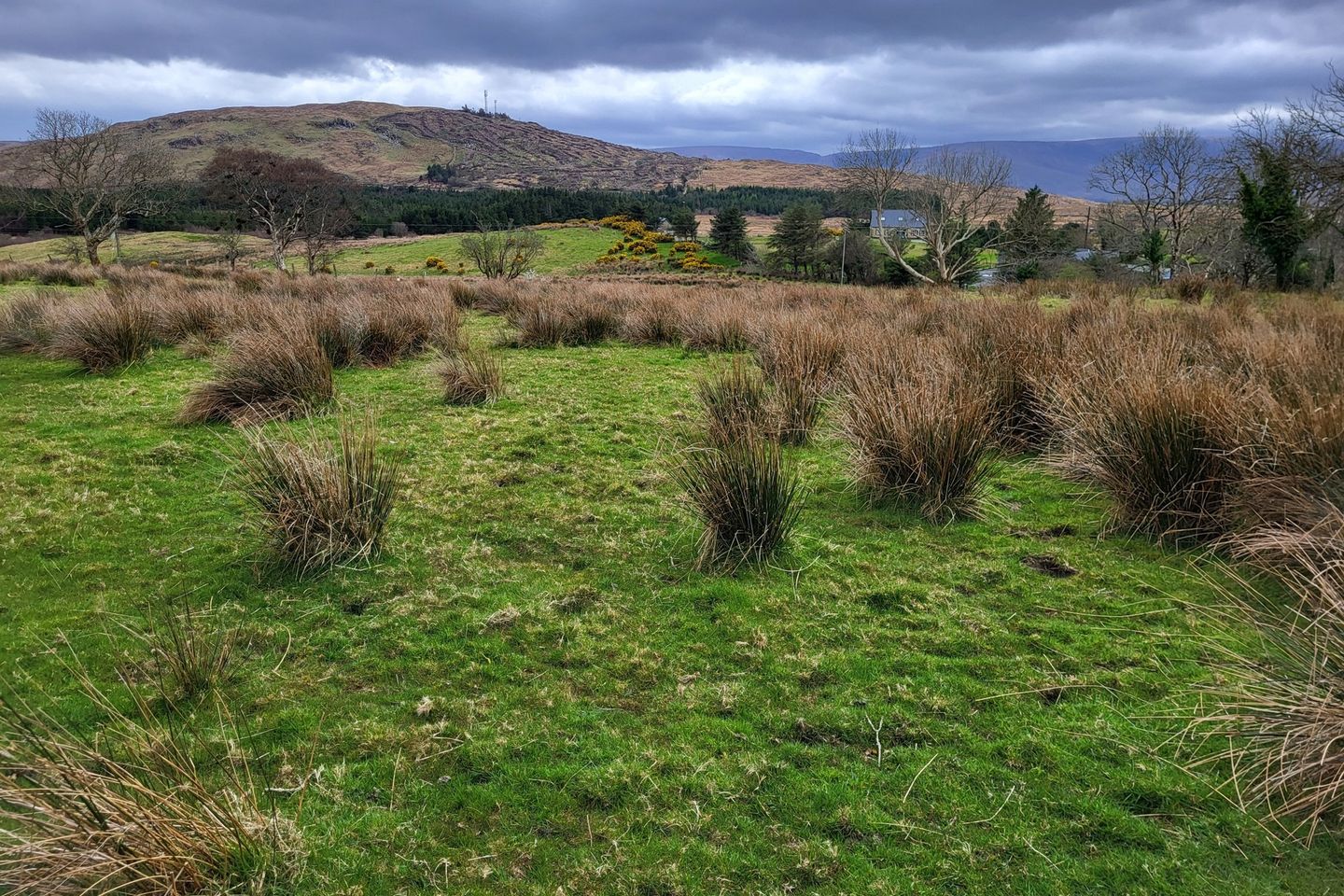 Letterbrook, Liscarney, Westport, Co. Mayo, F28R982 is for sale on Daft.ie