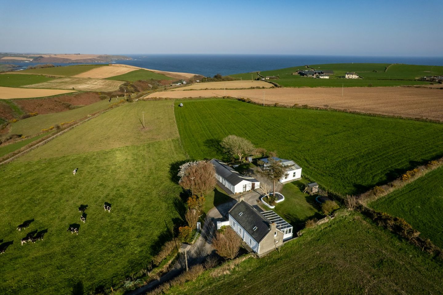 Dooneen Upper, Old Head, Kinsale, Co. Cork, P17A588