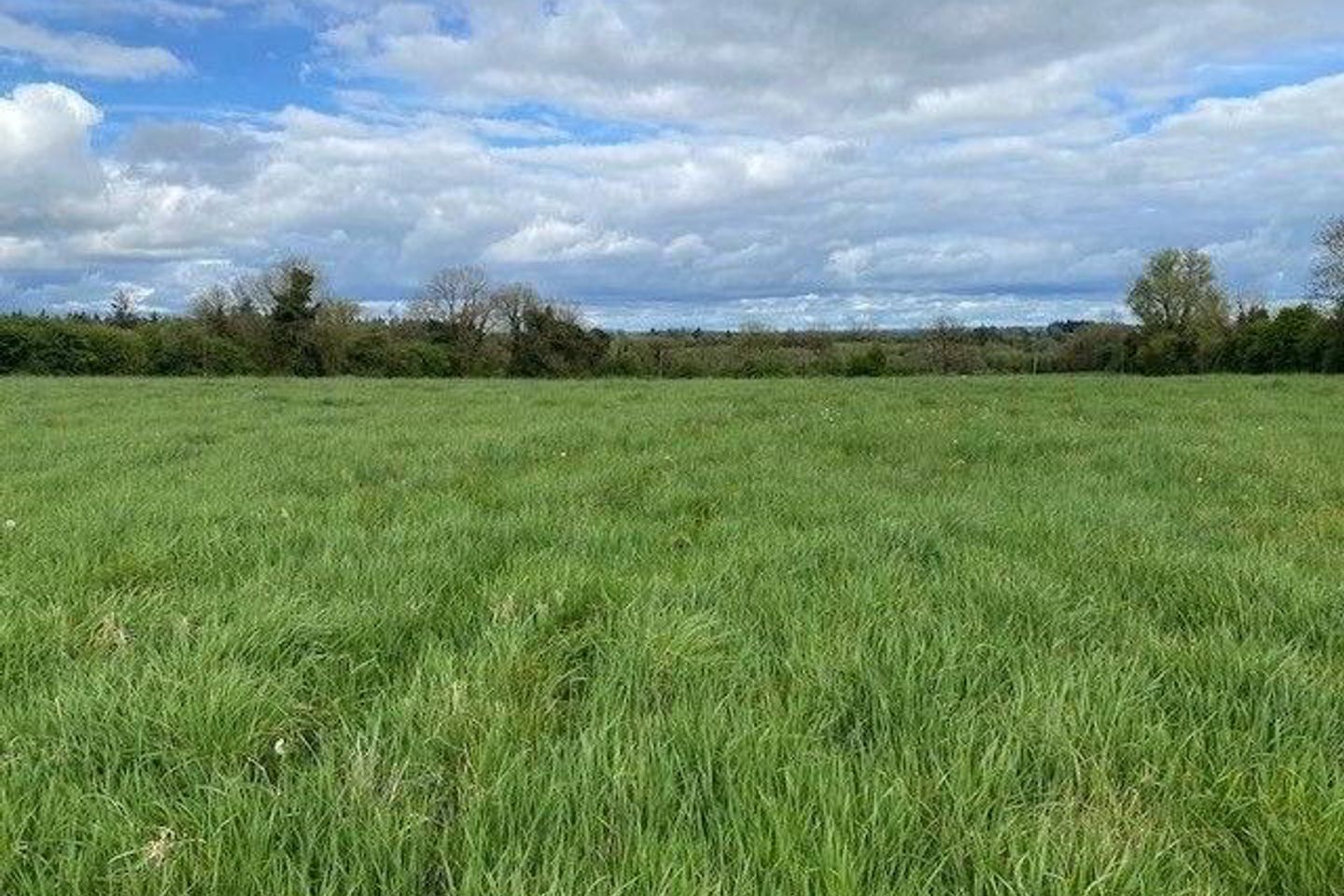 Commercial property for sale in 10 AcresRincoolagh, Abbeylara, Co