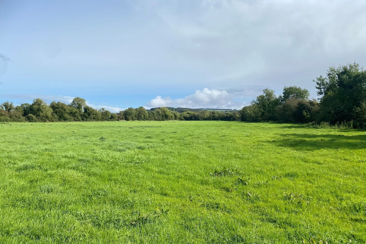 Commercial property for sale in c. 27 Acres, Fodeens, Kill, Co. Kildare
