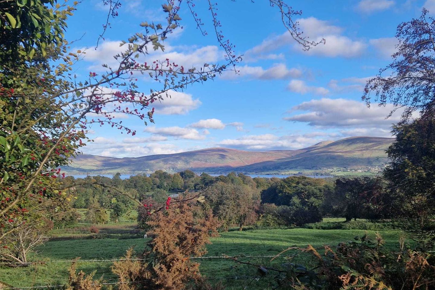 Humphrystown, Hollywood, Co. Wicklow is for sale on Daft.ie