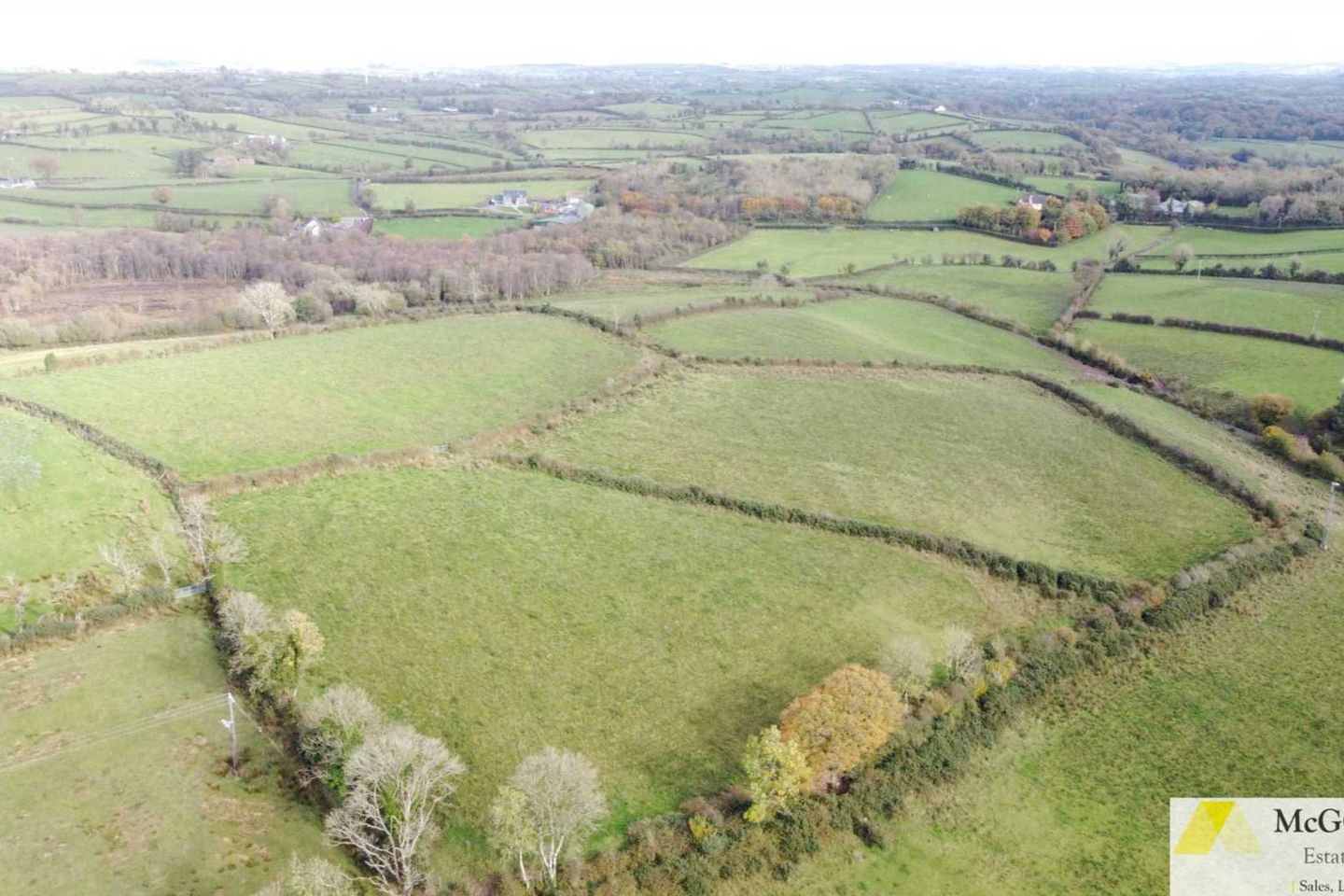 Commercial property for sale in Sheridan Road, Ballinamallard