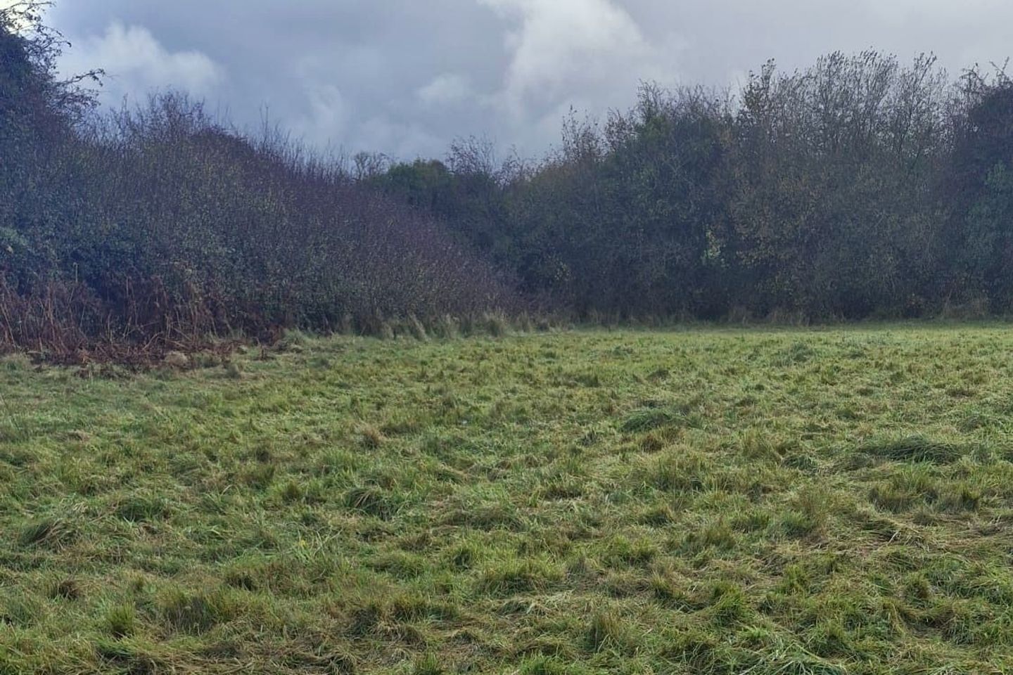 Derryfrench, Loughrea, Tynagh, Co. Galway