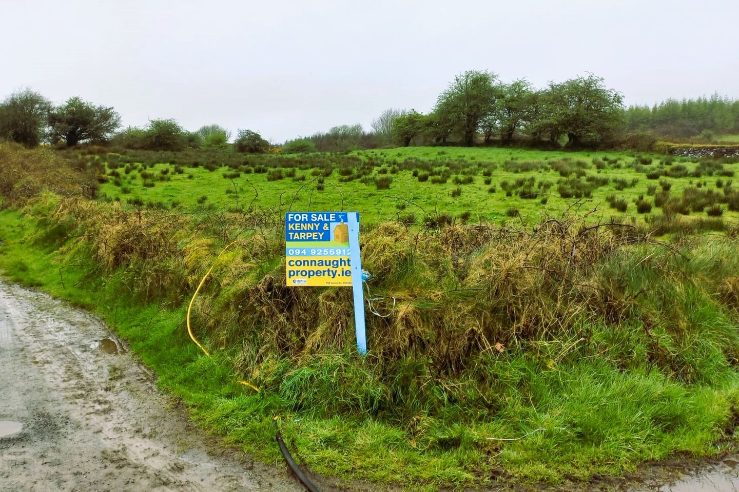 Glann, Kilkelly, Co. Mayo