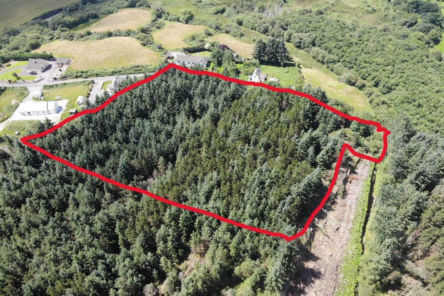 Moneyreague, Dunmanway, Dunmanway, Co. Cork, P47Y163
