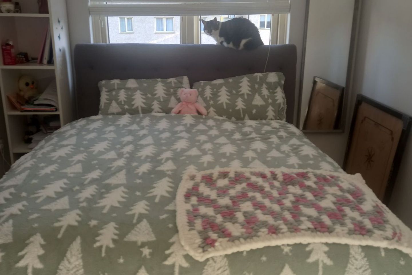  The Drive, The Paddocks, Dublin 15, Clonsilla, Dublin 15