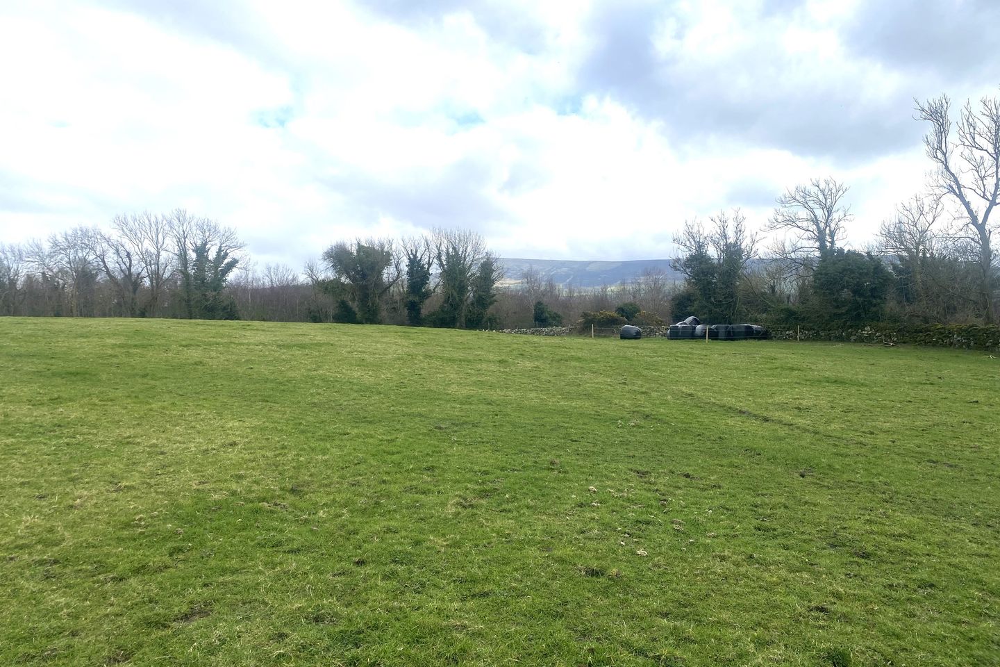 Commercial property for sale in Ballinree, Borris, Co. Carlow