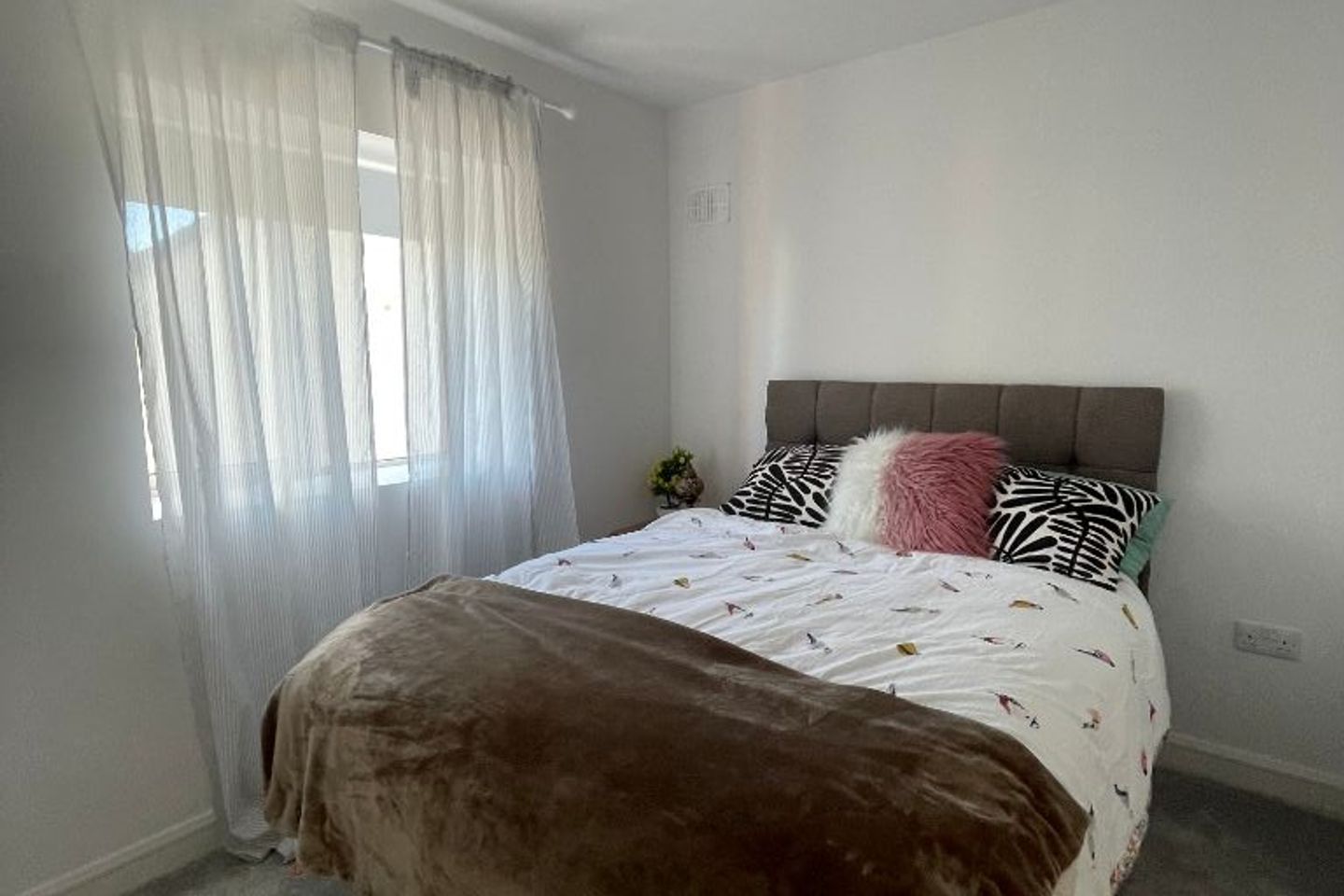 Academy Street, Navan, Co. Meath