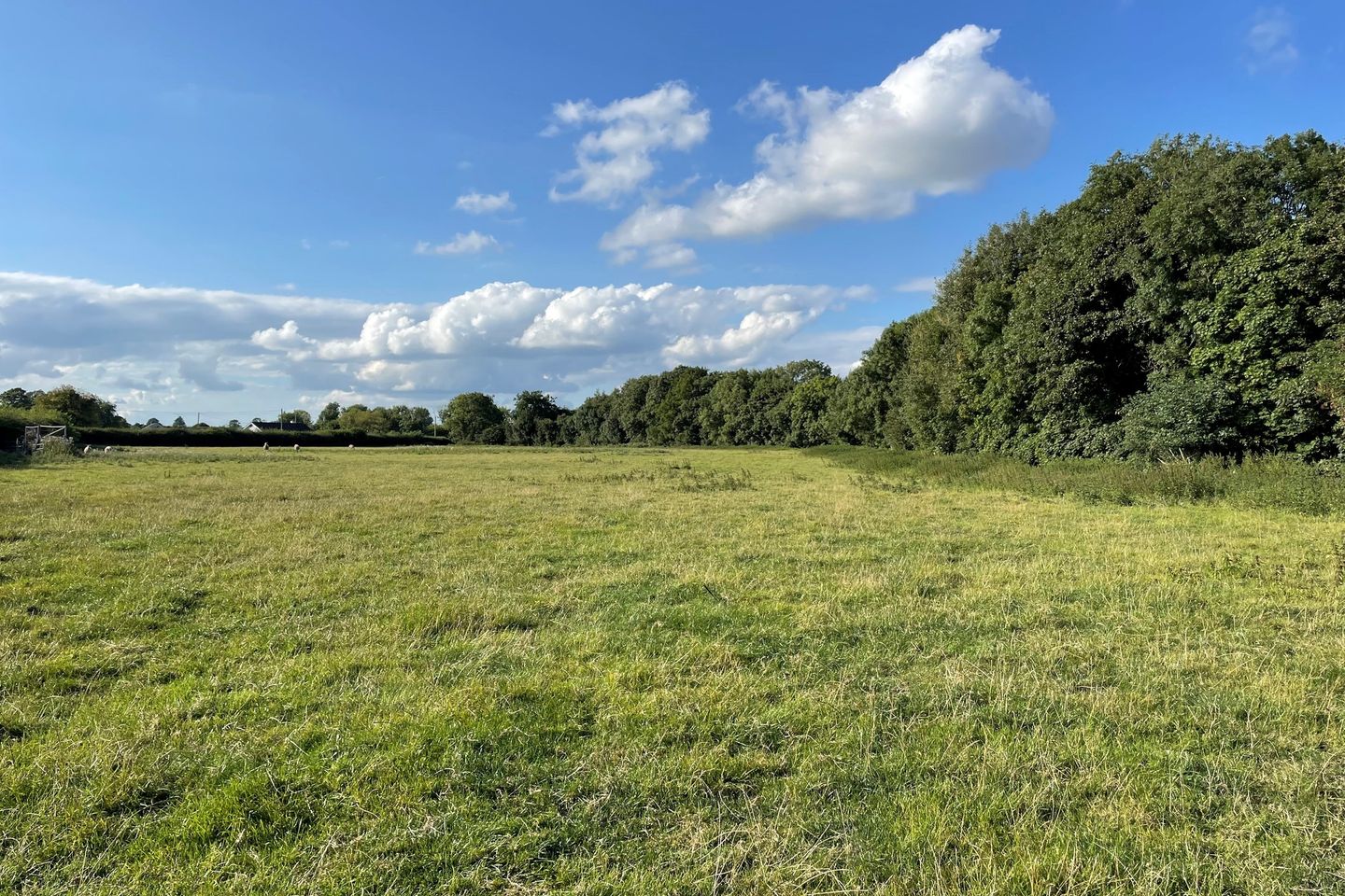 Commercial property for sale in Rathcormick, Kildalkey, Co. Meath