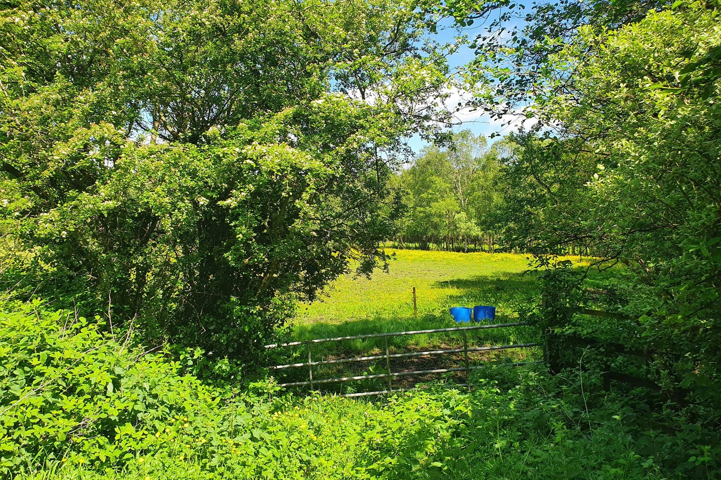 Rathmore, Carbury, Kildare, Co. Kildare