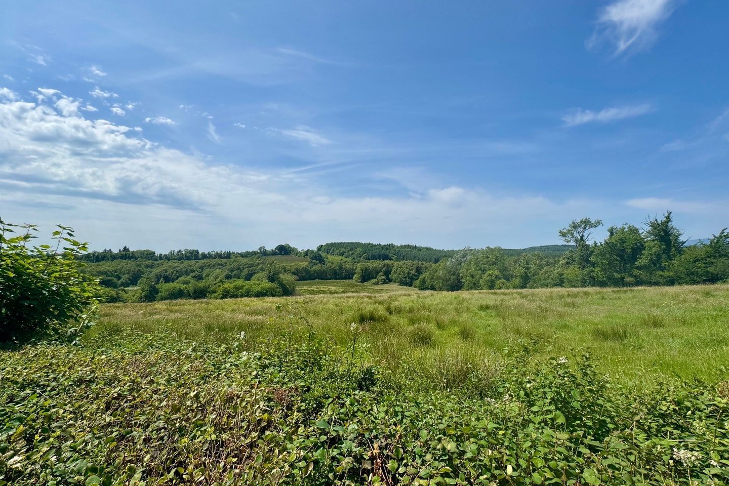 Drumharkan Glebe, Cloone, Co. Leitrim, N41N224
