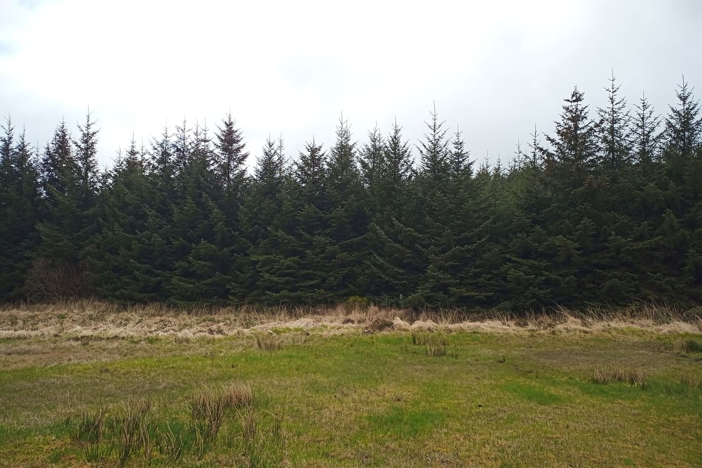 Commercial property for sale in High Street, Lissycasey, Co. Clare