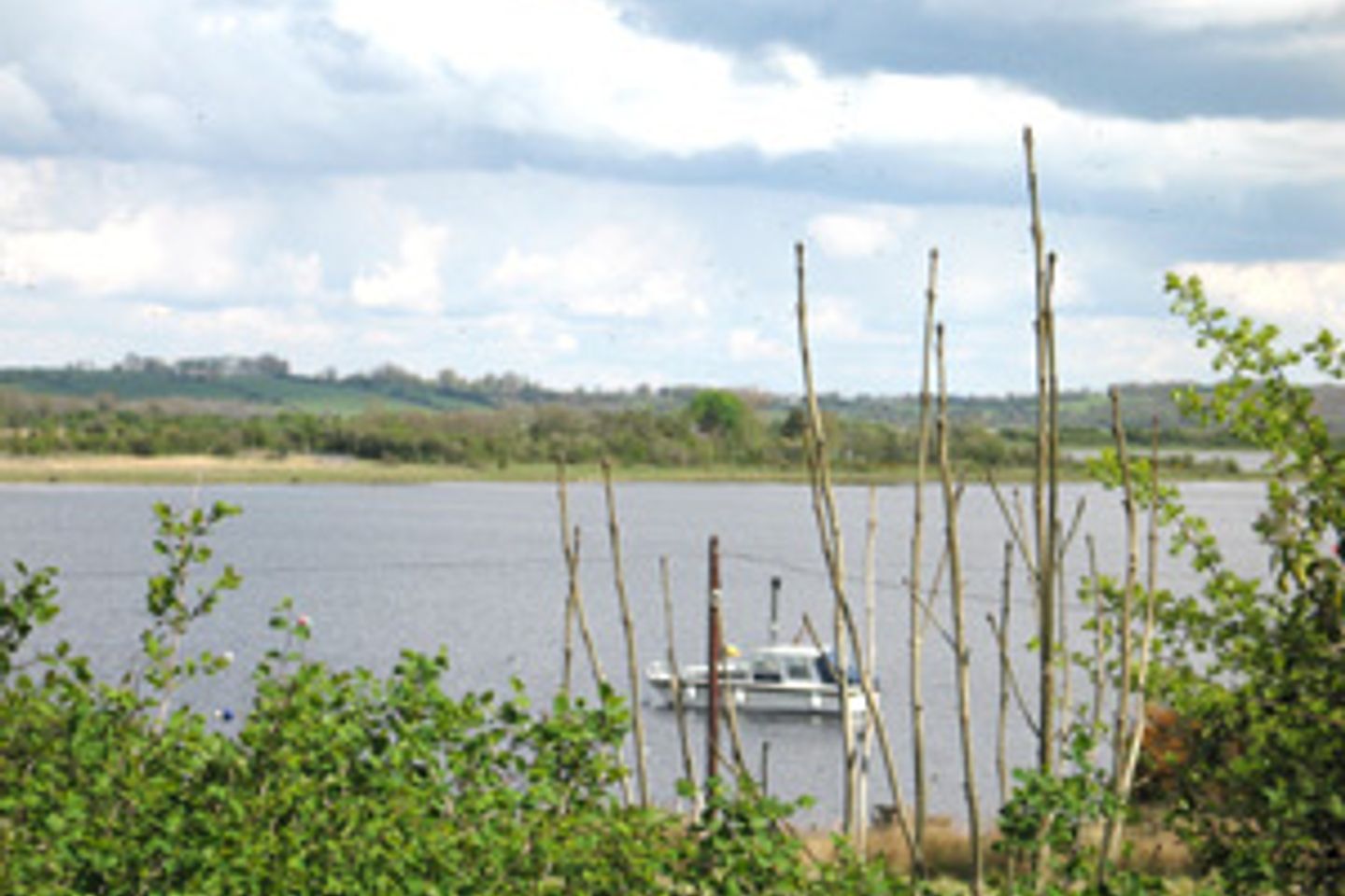 Trean, Ballymurray, Co. is for sale on Daft.ie