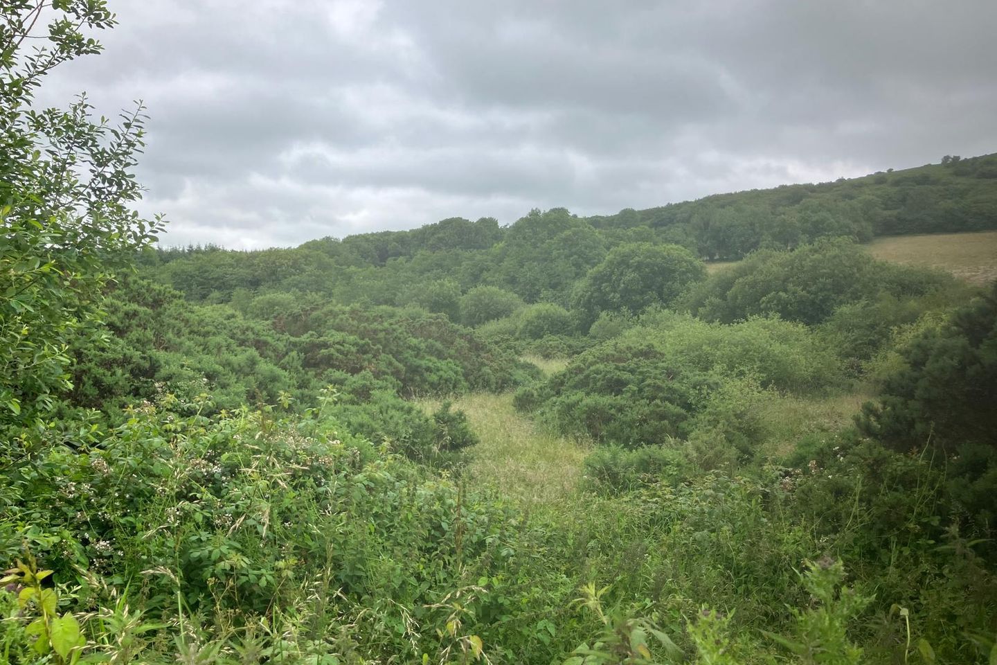 6.94 Acres At Ballysallagh, Hacketstown, Co. Carlow, R93E5Y9