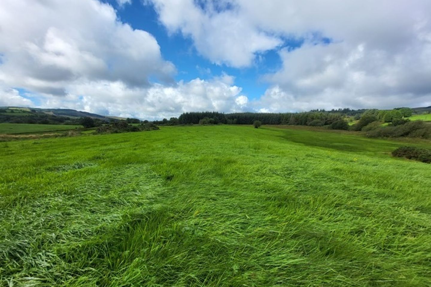 Kilcommon Cross, Kilcommon, Co. Tipperary