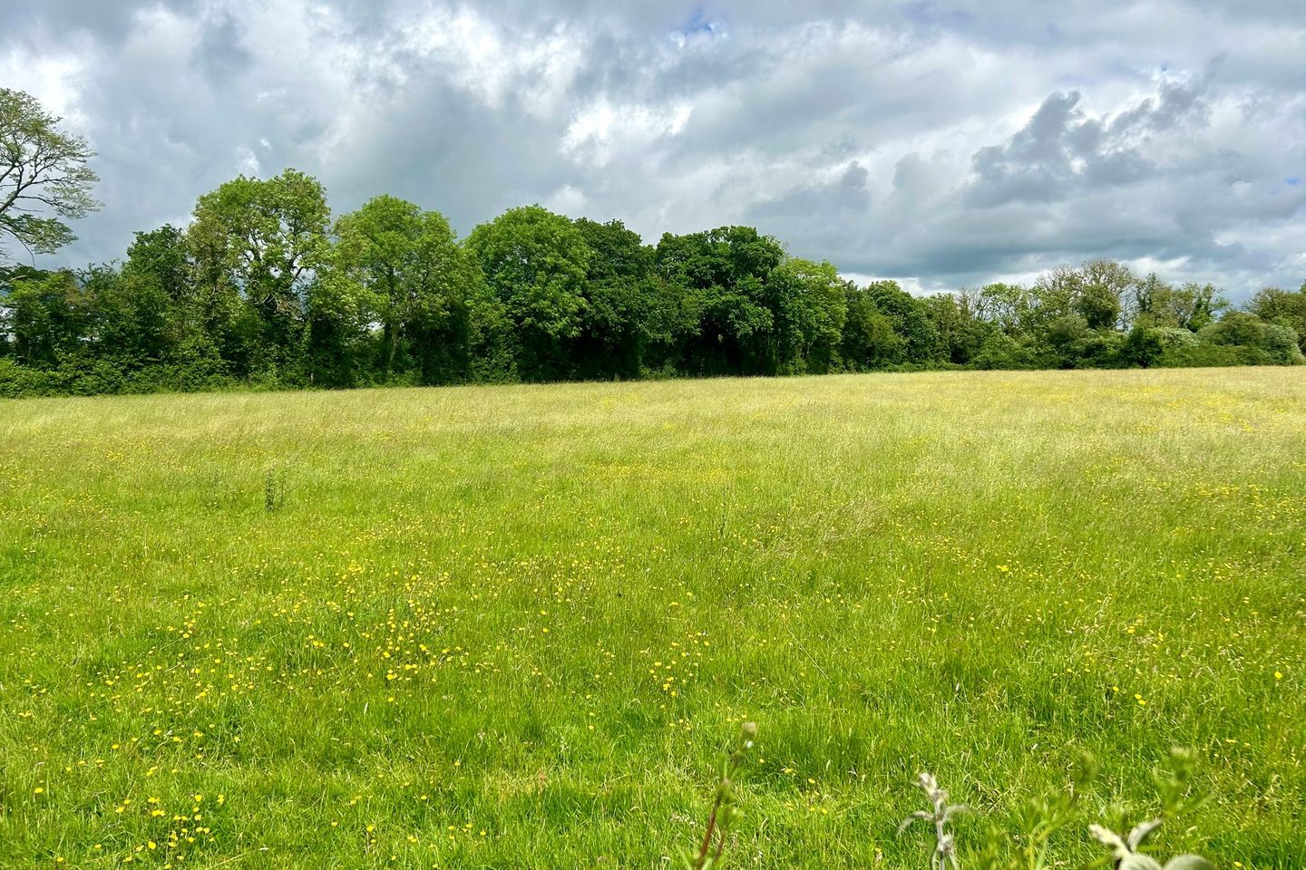 Commercial property for sale in 12 Acres, Derreens, Caragh, Naas, Co