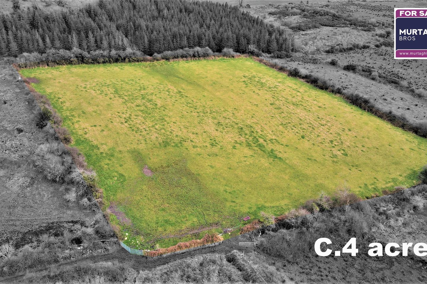 Commercial property for sale in Castlerea Mountain, Moydow, Co. Longford