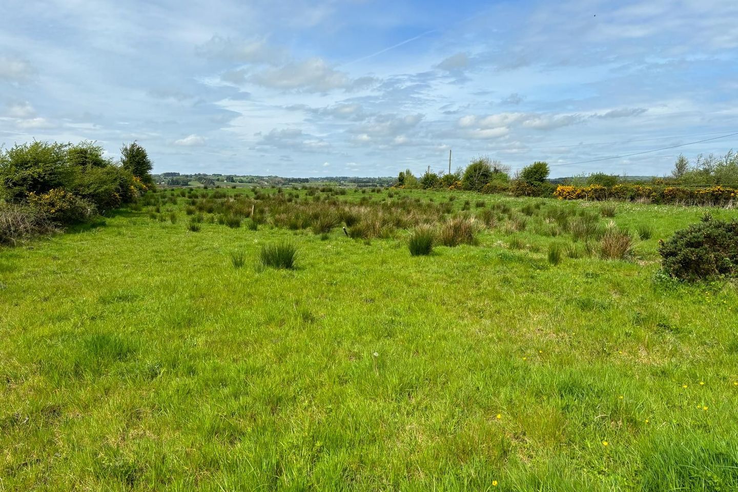 C. 48 acres in Mountain Forthill, Ballyhaunis, Co. Mayo