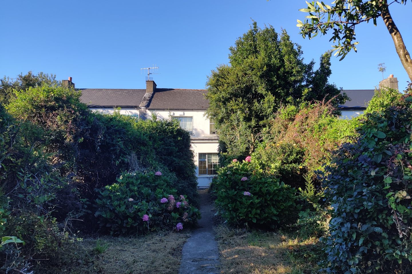 Old Oakview, Oakview Terrace, Tralee, Co. Kerry, V92ANF7