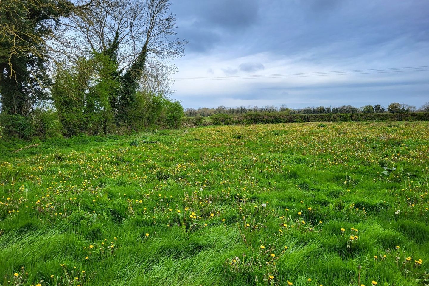 Commercial property for sale in Tullamaine, Callan, Co. Kilkenny, R95TW86