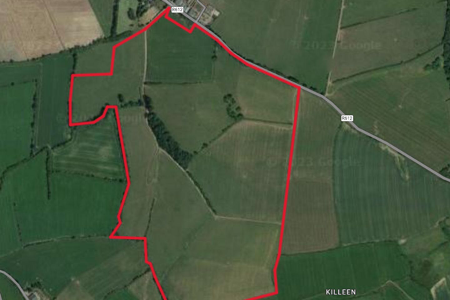 Commercial property for sale in Aghamarta, Carrigaline, Co. Cork