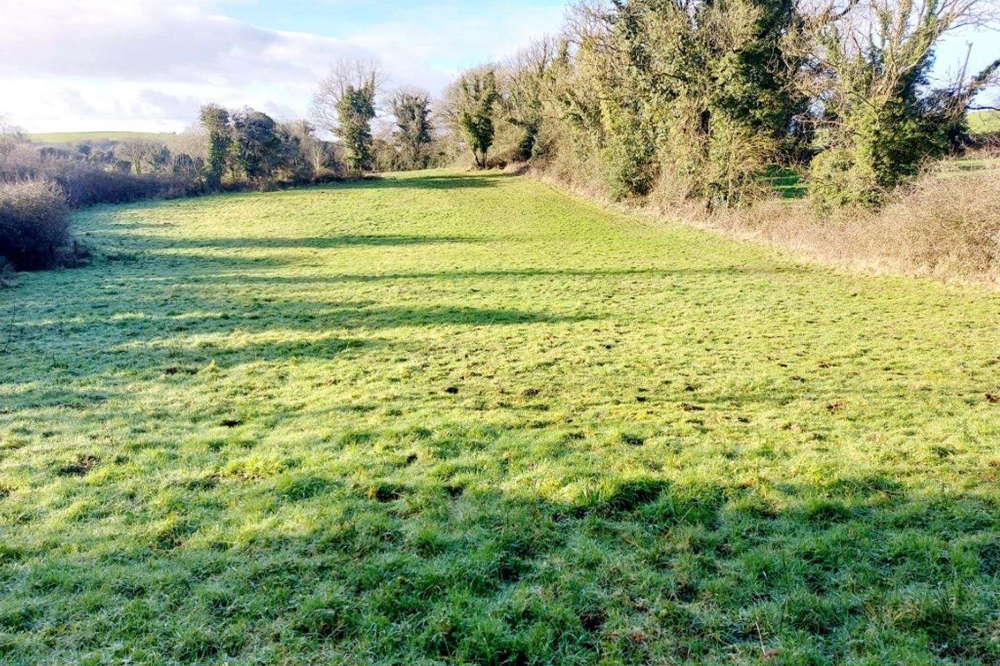 Commercial property for sale in Ballyvrohane, Carrahan, Tulla, Co. Clare
