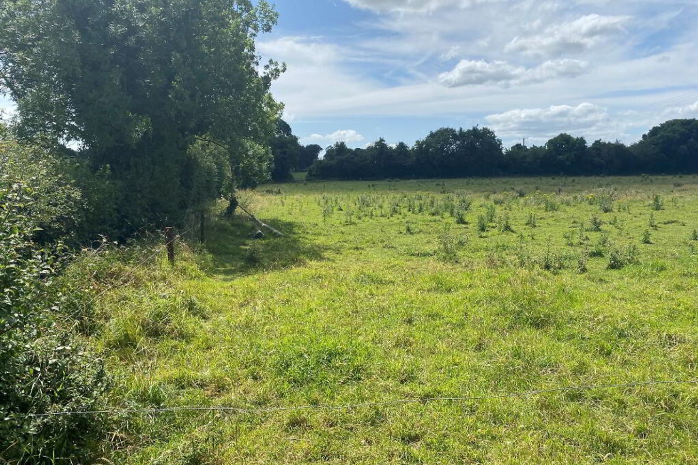 Charleville, Ardee, Co. Louth