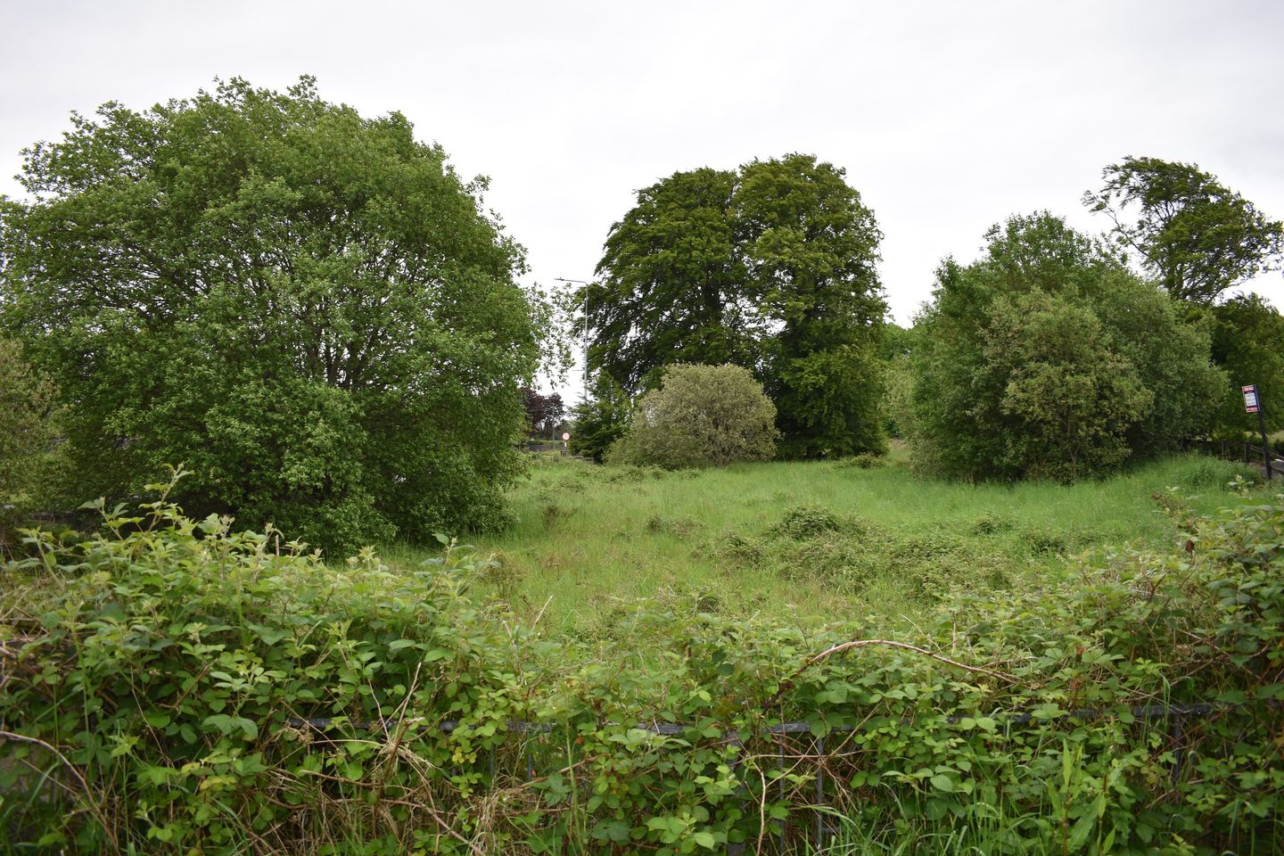 Carrickmore, Boyle, Co. is for sale on Daft.ie