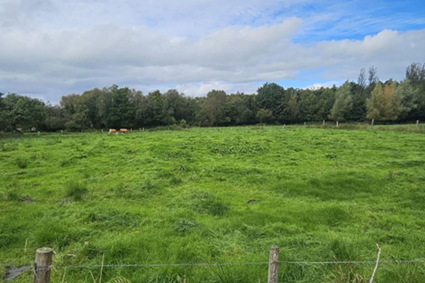 Deelcastle, Ardagh, Ballina, Co. Mayo
