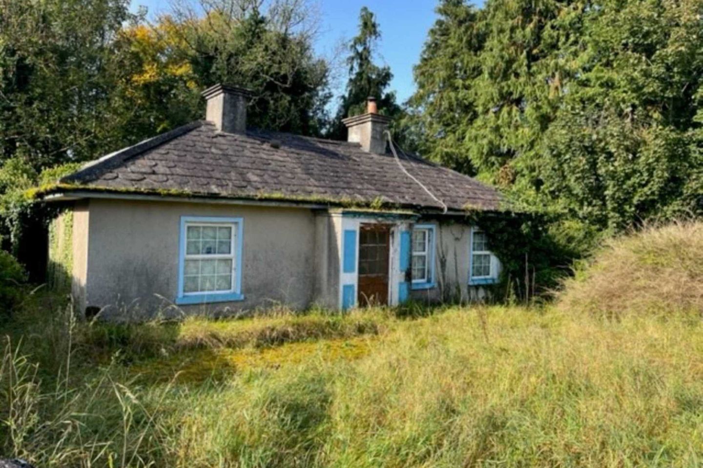 Ballymullen, Kilcreest, Loughrea, Co. Galway, H62YD43 is for sale on Daft.ie