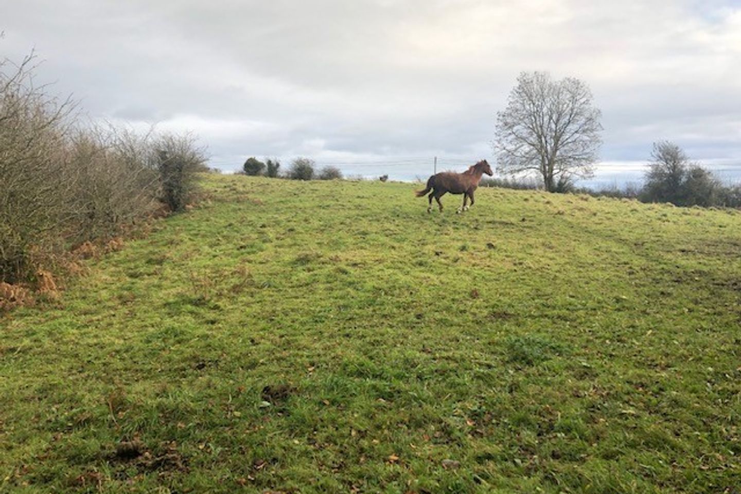 Ballinahown, Athlone, Co. Westmeath is for sale on Daft.ie