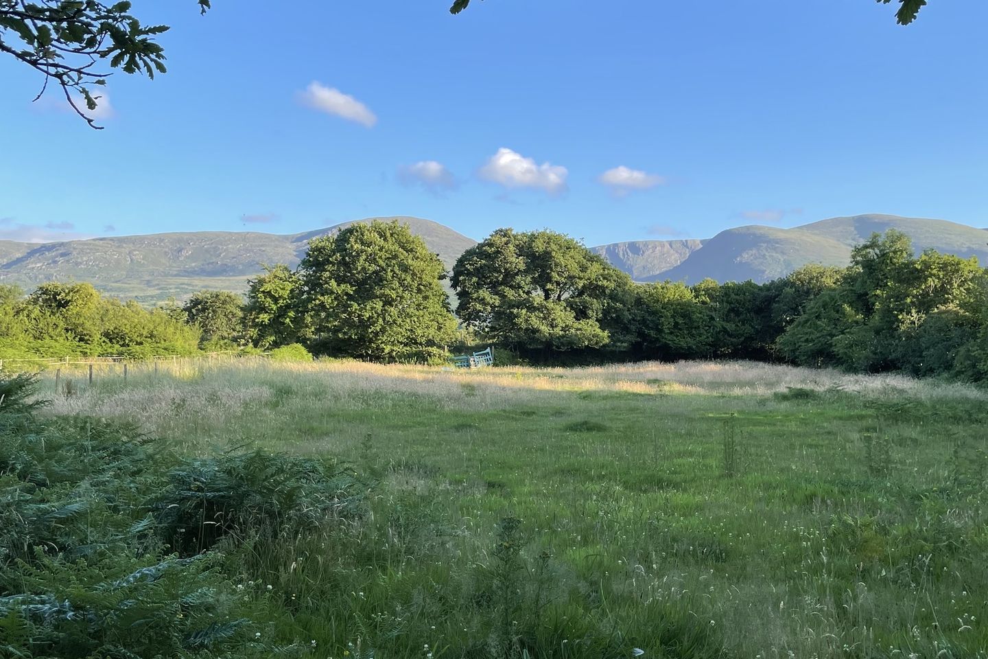 Coolies, Muckross, Killarney, Muckross, Co. Kerry is for sale on Daft.ie