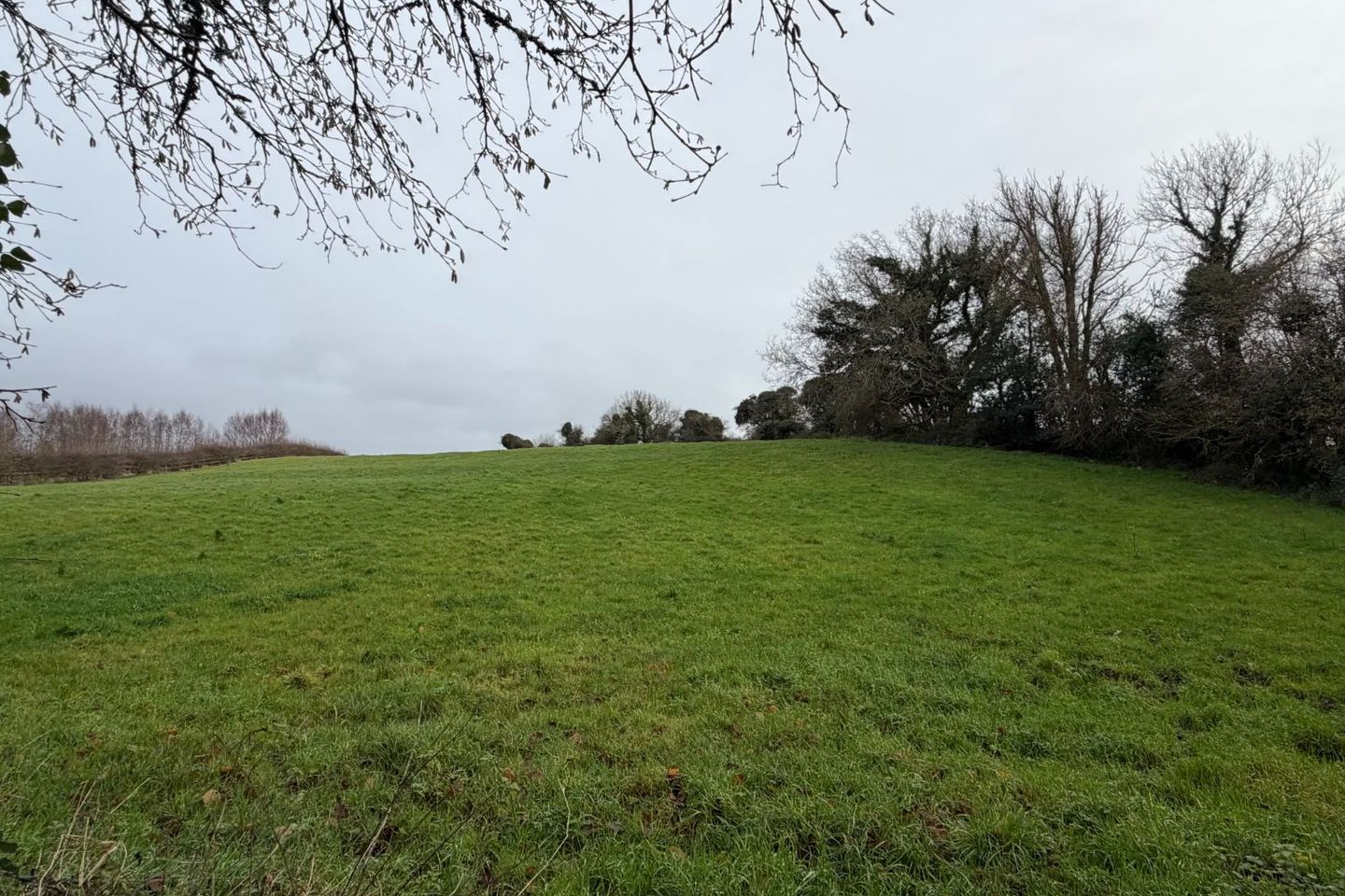 Cloontymurphy, Barefield, Co. Clare