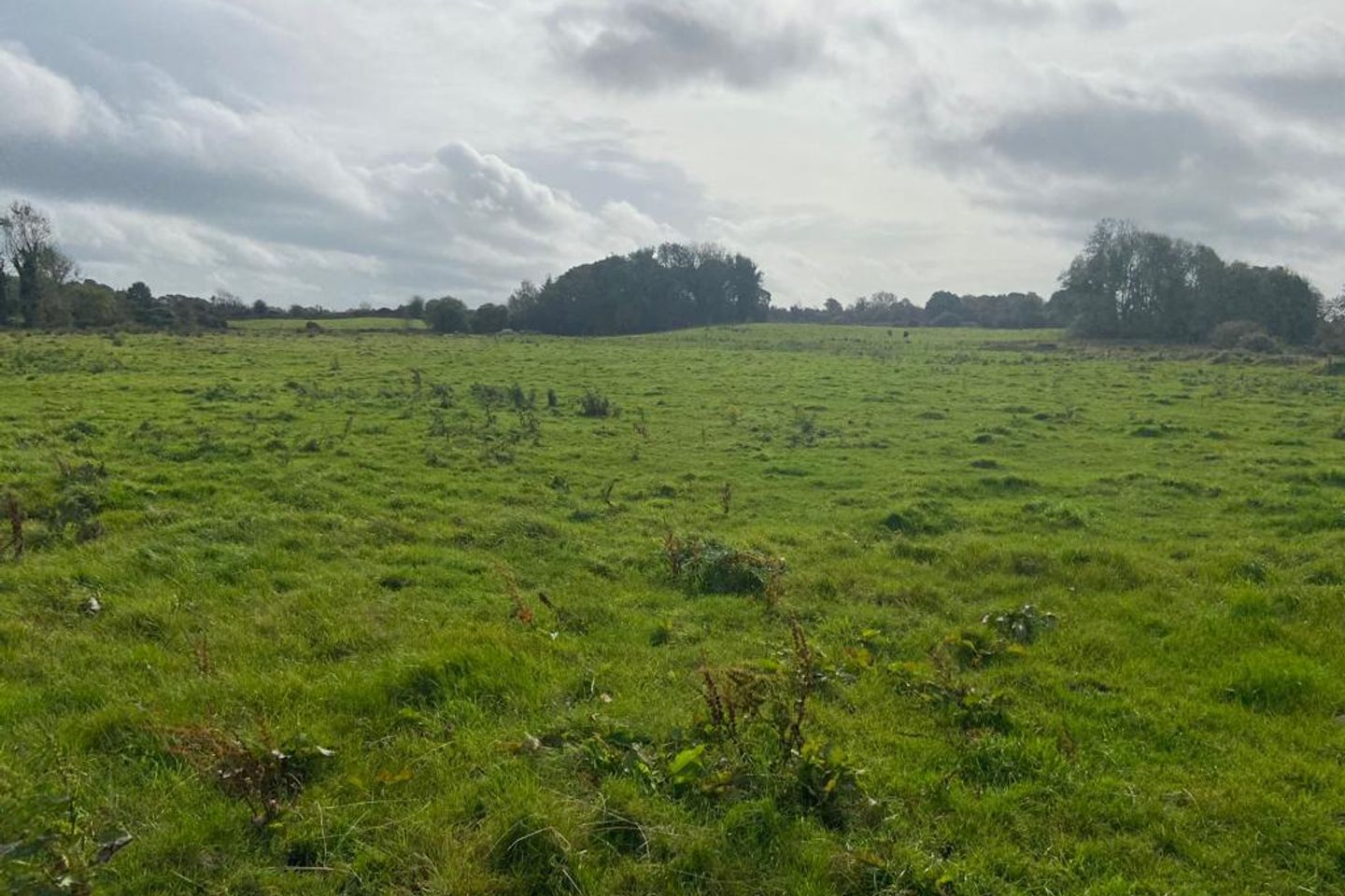 Commercial property for sale in Caher Aghamore, Ballyhaunis, Co. Mayo
