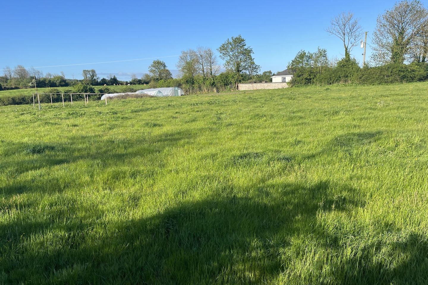 Clonbrock, Slievemargy, Crettyard, Co. Laois is for sale on Daft.ie