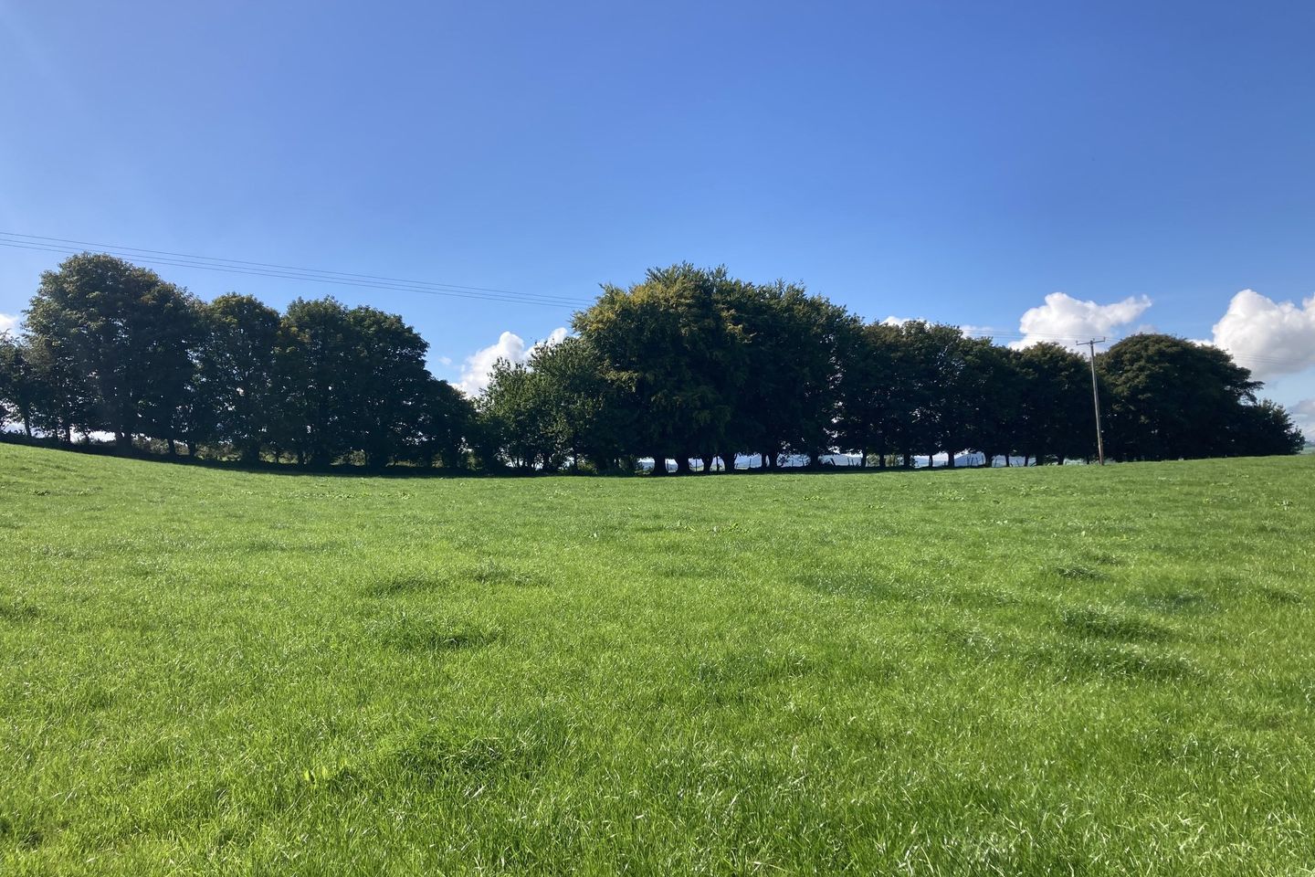 Commercial property for sale in Mountkinnane, Borrisoleigh, Co. Tipperary