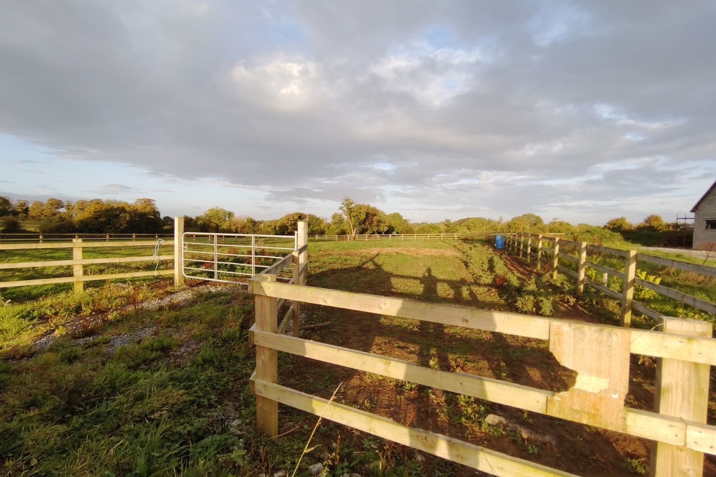 Mitchelstown, Ballysteen, Askeaton, Askeaton, Co. Limerick