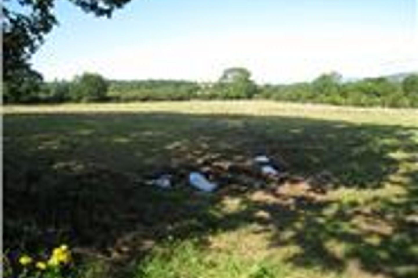 Ballykeppoge, Wicklow Town, Co. Wicklow is for sale on Daft.ie