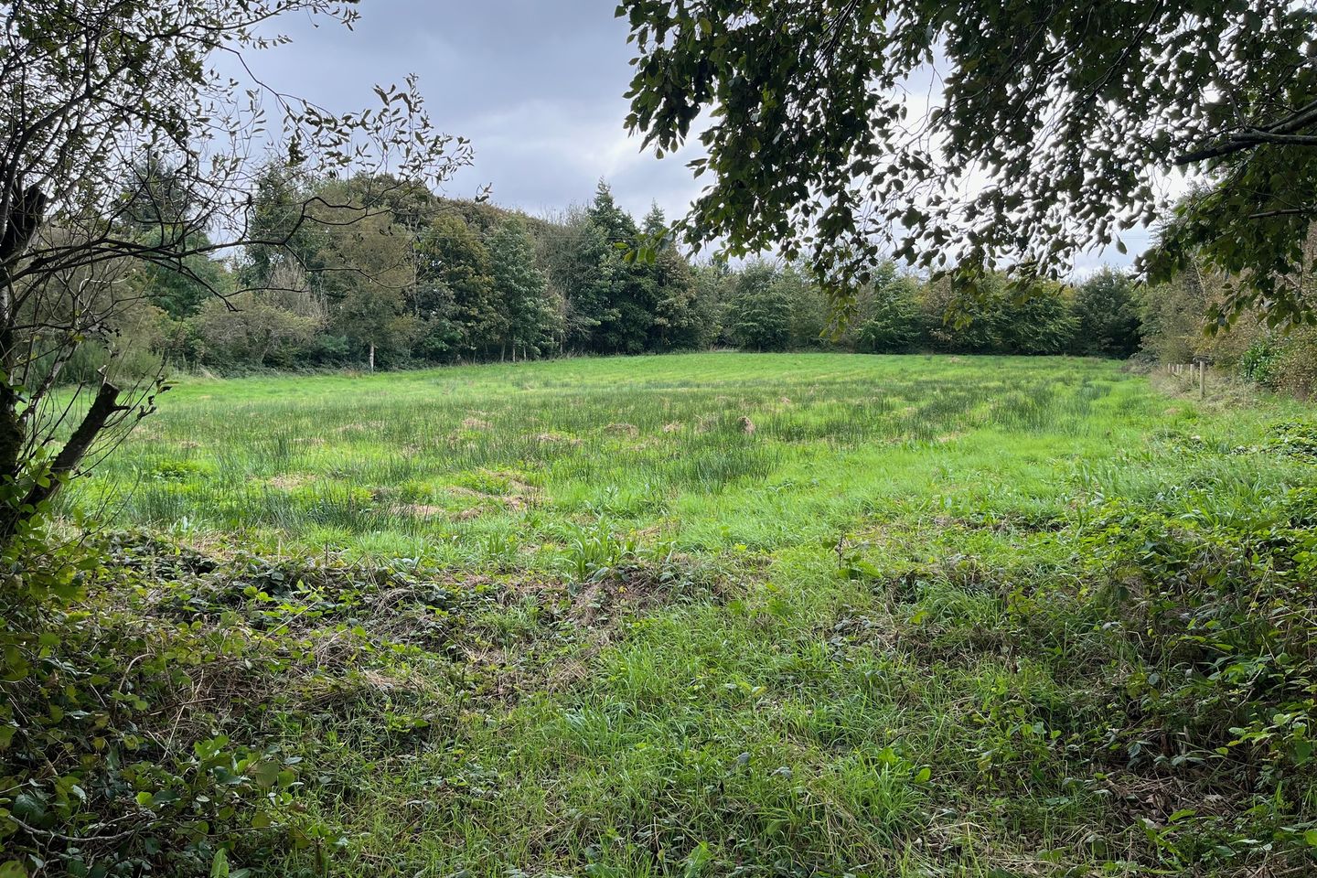 Carrowmore, Knock, Co. Mayo is for sale on Daft.ie