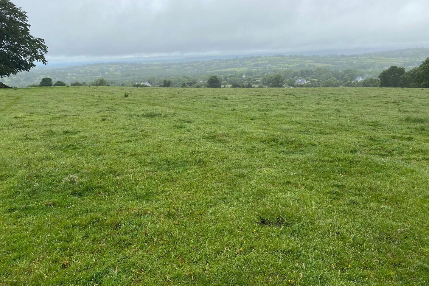 Commercial property for sale in Currane, Borris, Co. Carlow