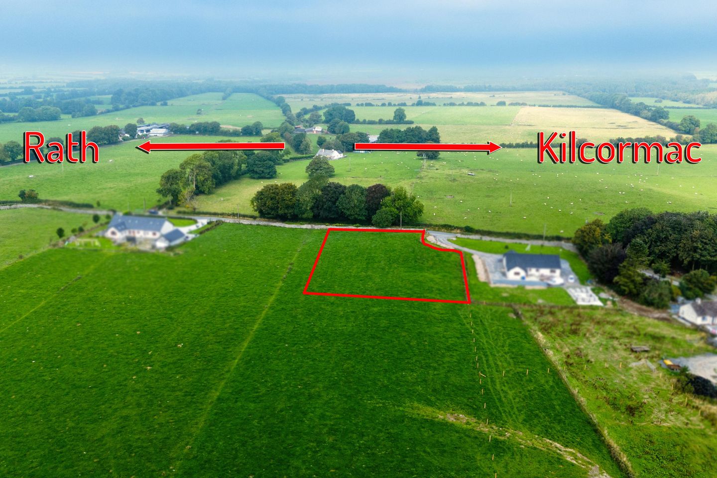 Thomastown Demesne, Rath, Co. Offaly