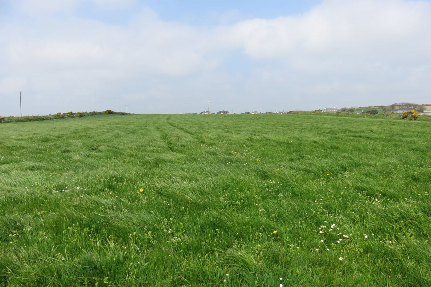 Commercial property for sale in Ardgehane, Timoleague, Co. Cork